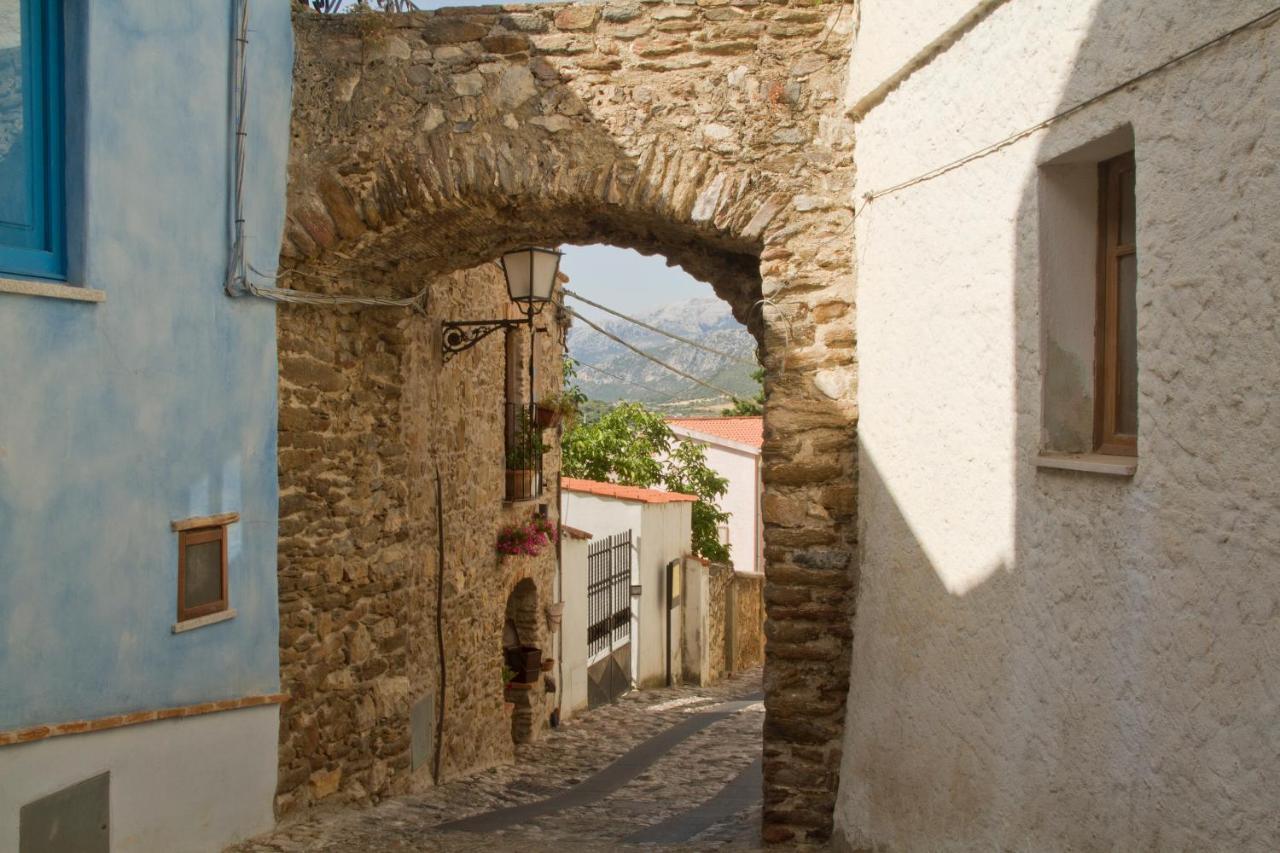 Caterina Guest house